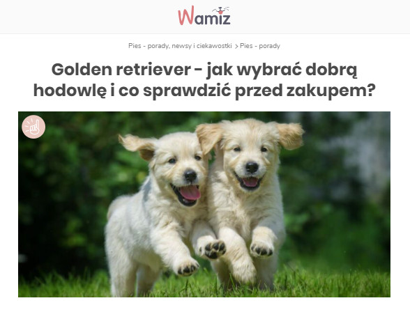 Wamiz.pl portal o psach i kotach