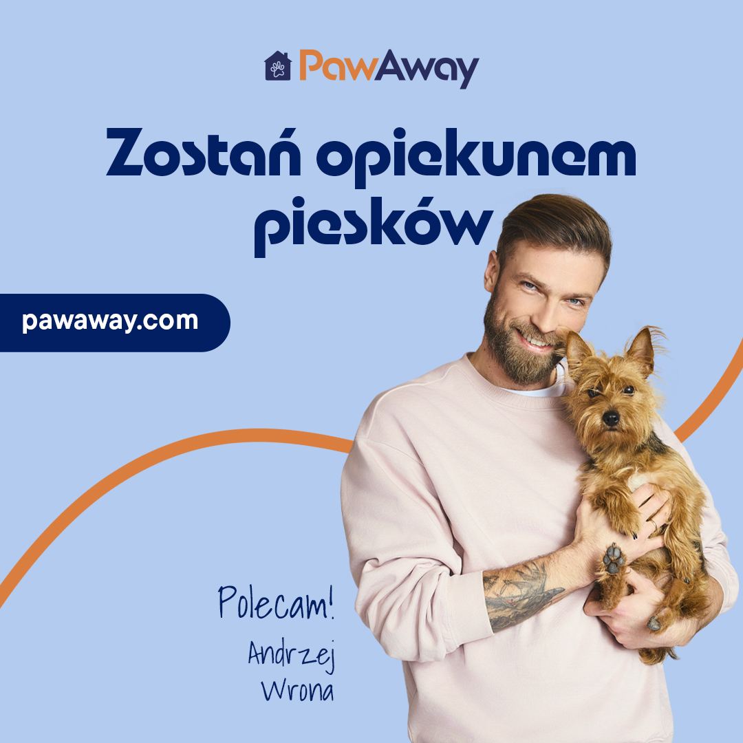 Read more about the article Kolonie dla psa – sposób na bezstresowe wakacje dla Ciebie i Twojego pupila